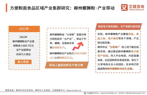 技術賦能與消費驅動 2024年中國方便粉面食品行業(yè)洞察與趨勢展望——基于中國食品科學技術學會與艾媒咨詢研究報告的交流探討
